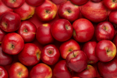 Manzanas