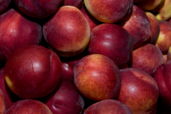 Nectarinas
