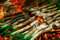 Calçots