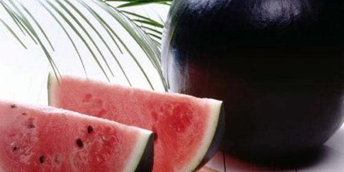 sandia_negra-590×250